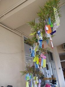 IMG_1018.jpg